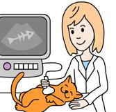 Возможности ультразвуковой диагностики в ветеринарии